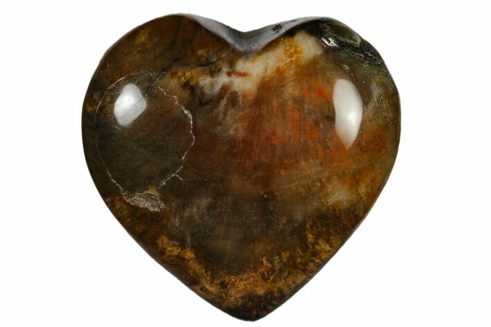Polished, Triassic Petrified Wood Heart - Madagascar #115525
